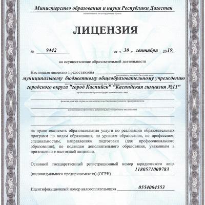 Лицензия